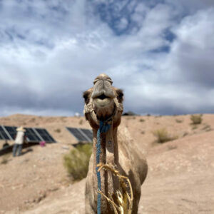 Marrakech, the other city